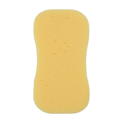 Pack of Jumbo Sponges
