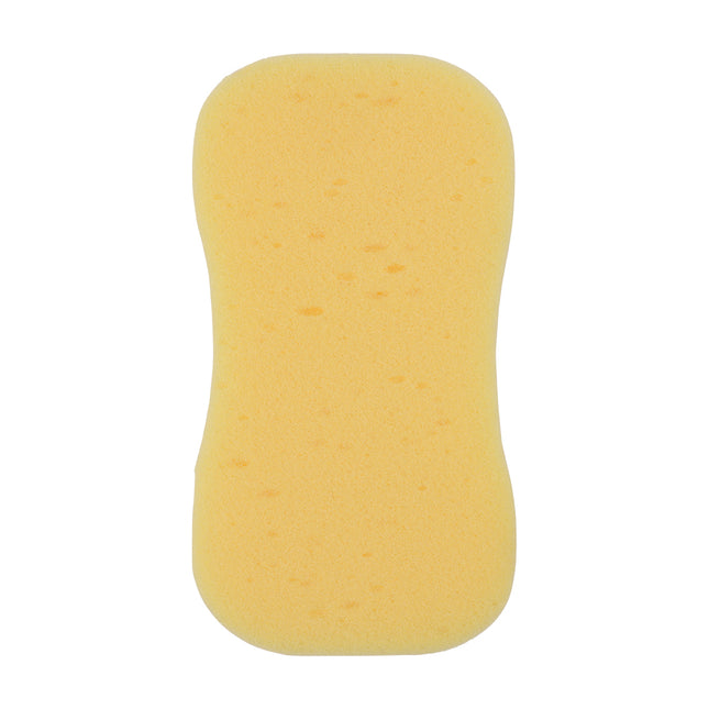 Pack of Jumbo Sponges