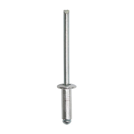 Timco Rivets, Dome Head, Aluminium Clear, Zinc