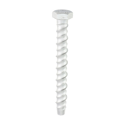 Timco Multi-Fix Masonry Bolts Silver