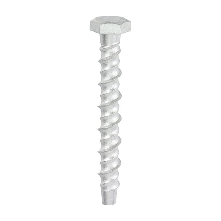 Timco Multi-Fix Masonry Bolts Silver