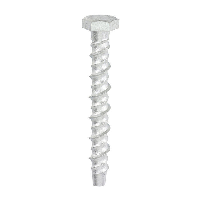 Timco Multi-Fix Masonry Bolts Silver