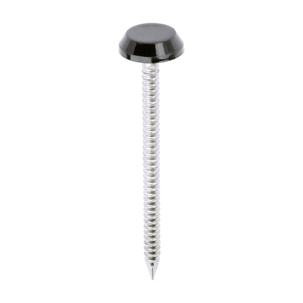 Polymer Headed Nails - A4 Stainless Steel - Black