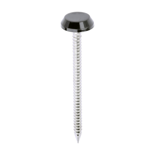 Polymer Headed Nails - A4 Stainless Steel - Black