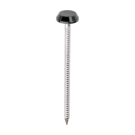 Timco Polymer Headed Nails Stainless Steel, Anthracite, Grey