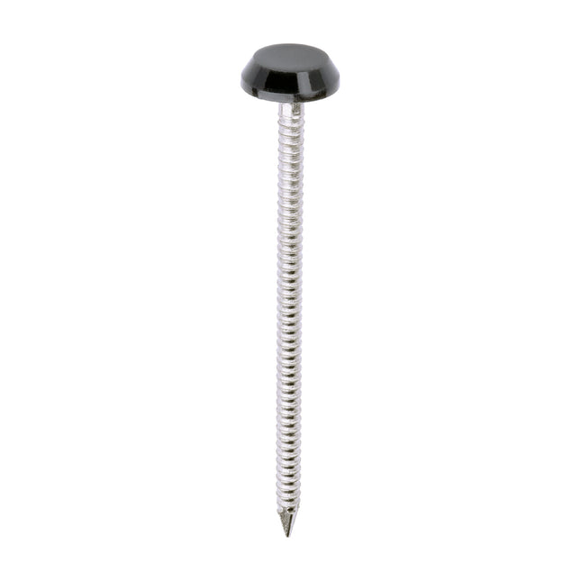 Timco Polymer Headed Nails Stainless Steel, Anthracite, Grey