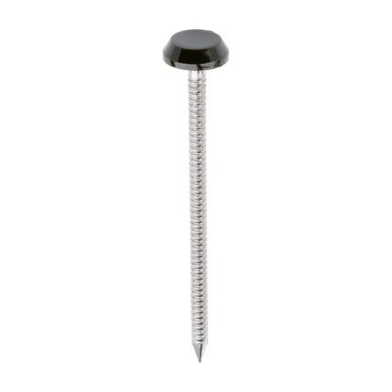 Timco Polymer Headed Nails Stainless Steel, Mahogany
