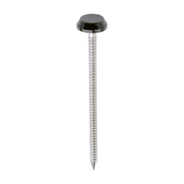 Timco Polymer Headed Nails Stainless Steel, Mahogany