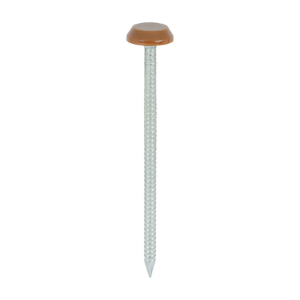 Timco Polymer Headed Nails Stainless Steel, Brown