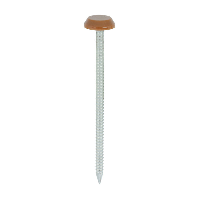 Timco Polymer Headed Nails Stainless Steel, Brown
