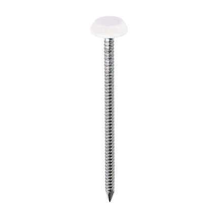 Timco Polymer Headed Nails Stainless Steel, Cream