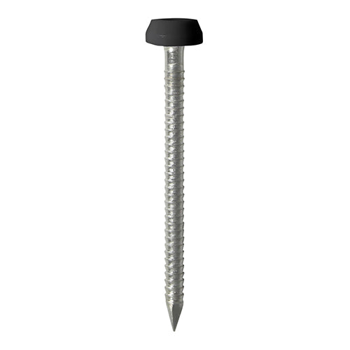 Timco Polymer Headed Pins Stainless Steel, Black