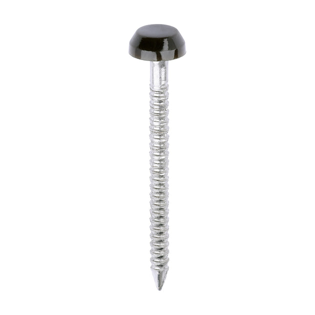 Timco Polymer Headed Pins Stainless Steel, Mahogany