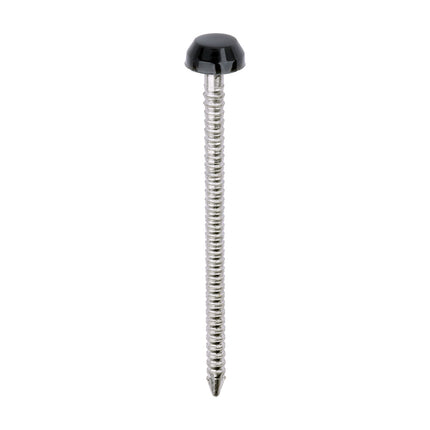 Timco Polymer Headed Pins Stainless Steel, Anthracite, Grey
