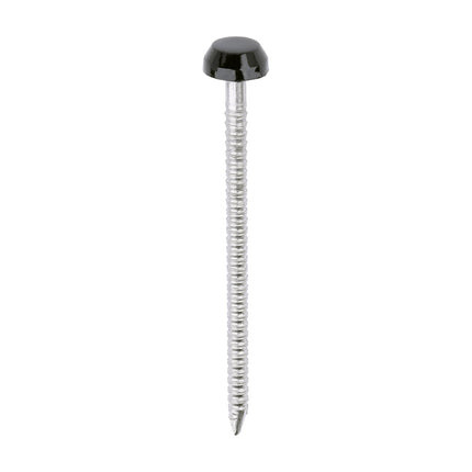 Timco Polymer Headed Pins Stainless Steel, Black