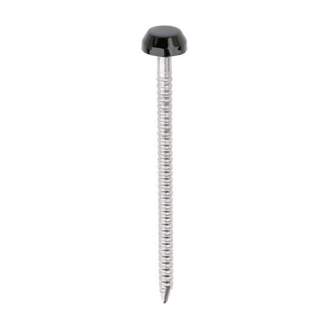 Timco Polymer Headed Pins Stainless Steel, Black