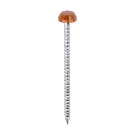 Timco Polymer Headed Pins Stainless Steel, Brown