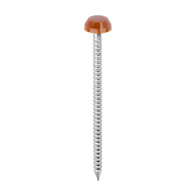 Timco Polymer Headed Pins Stainless Steel, Brown