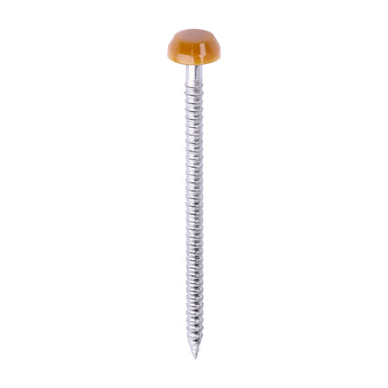 Timco Polymer Headed Pins Stainless Steel, Oak