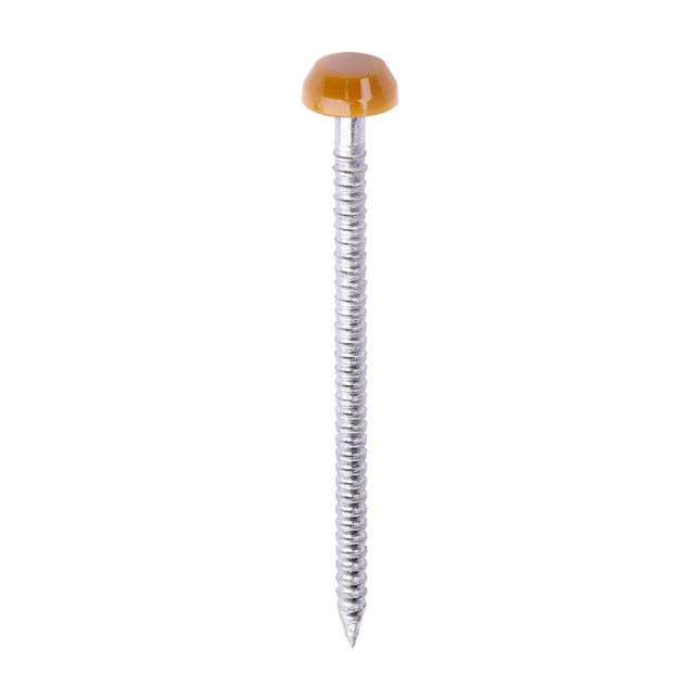 Timco Polymer Headed Pins Stainless Steel, Oak