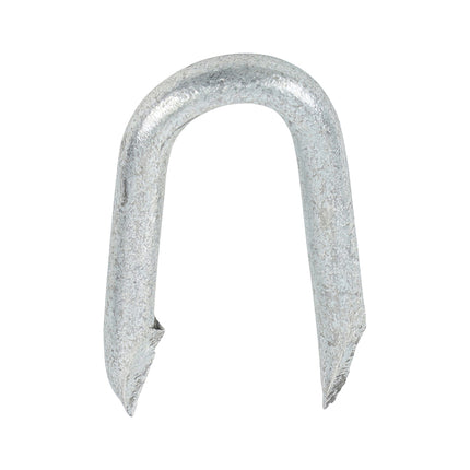 Timco Presser Point Staples, Galvanised Steel